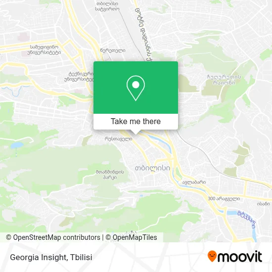 Georgia Insight map