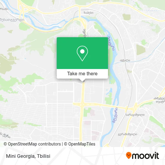 Mini Georgia map