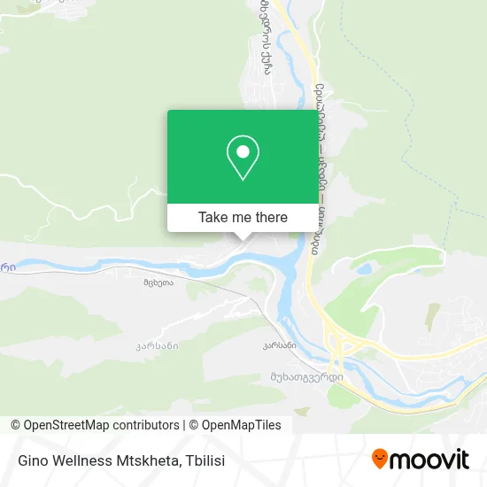 Gino Wellness Mtskheta map