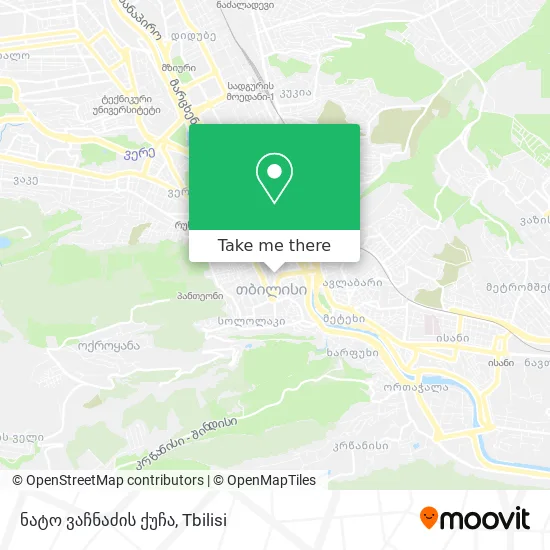 ნატო ვაჩნაძის ქუჩა map