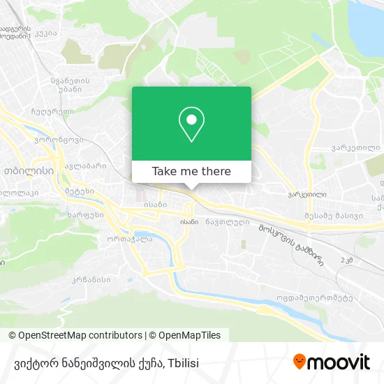 ვიქტორ ნანეიშვილის ქუჩა map
