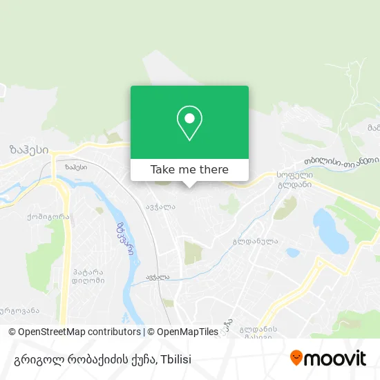 გრიგოლ რობაქიძის ქუჩა map