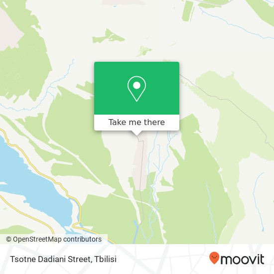 Tsotne Dadiani Street map