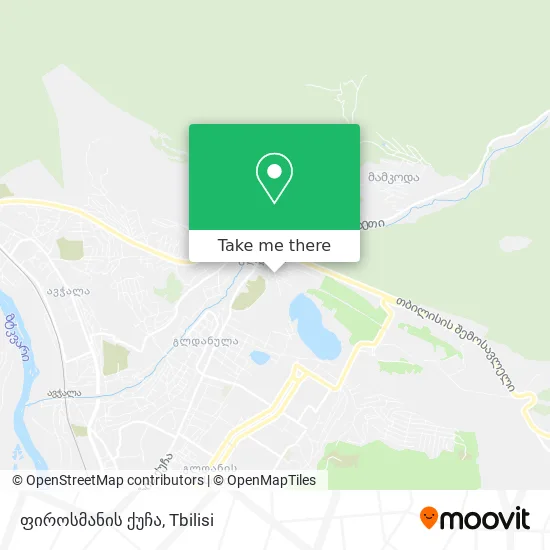 ფიროსმანის ქუჩა map