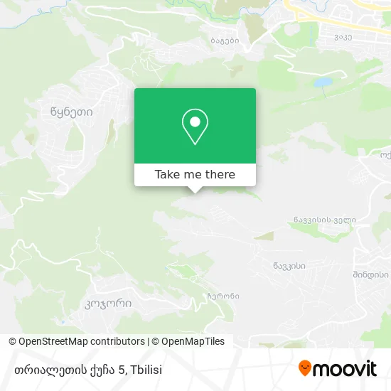 თრიალეთის ქუჩა 5 map