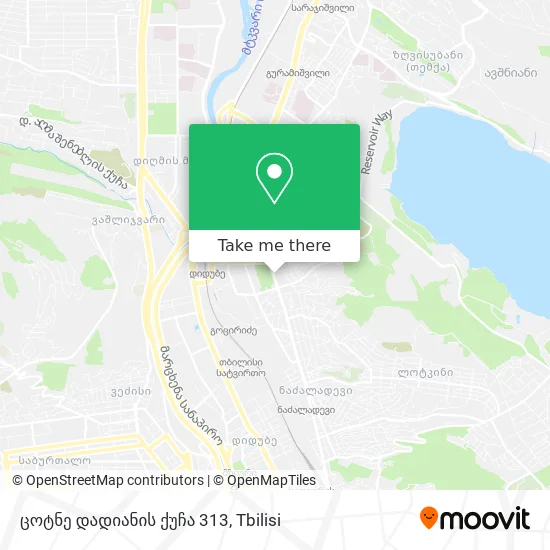 ცოტნე დადიანის ქუჩა 313 map