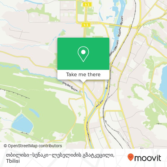 თბილისი–სენაკი–ლესელიძის გზატკეცილი map