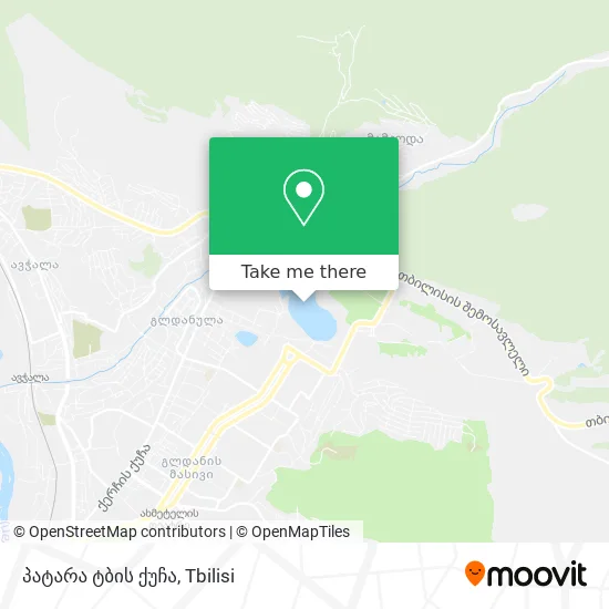პატარა ტბის ქუჩა map