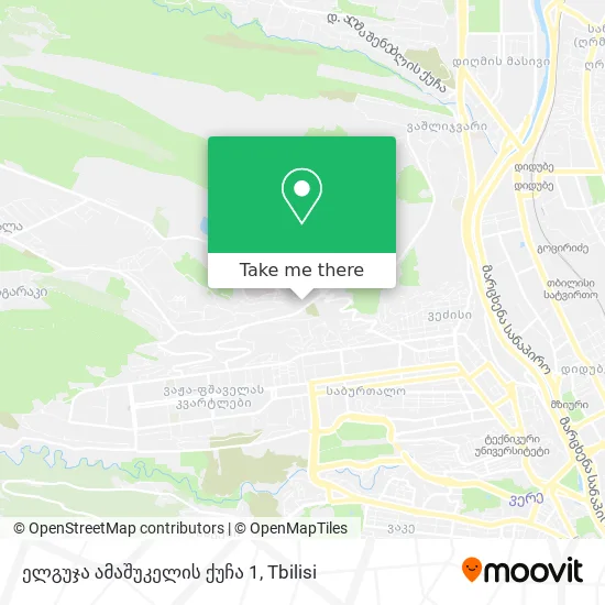ელგუჯა ამაშუკელის ქუჩა 1 map