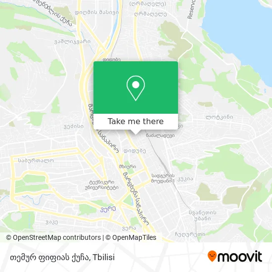 თემურ ფიფიას ქუჩა map