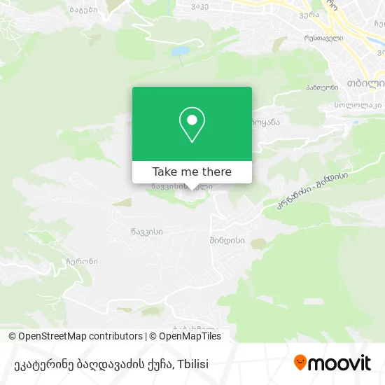 ეკატერინე ბაღდავაძის ქუჩა map