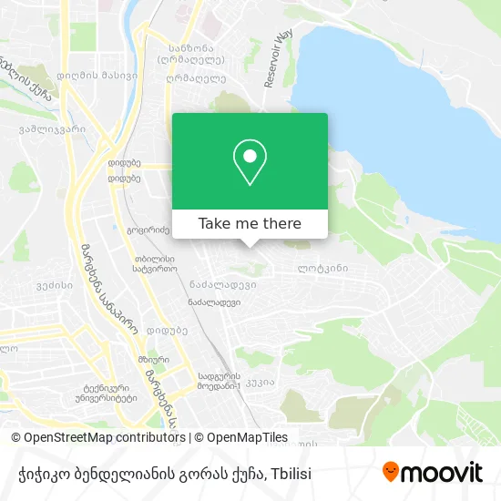 ჭიჭიკო ბენდელიანის გორას ქუჩა map