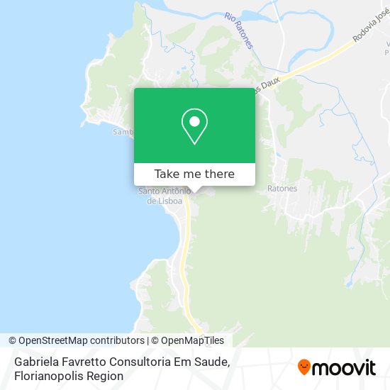 Gabriela Favretto Consultoria Em Saude map