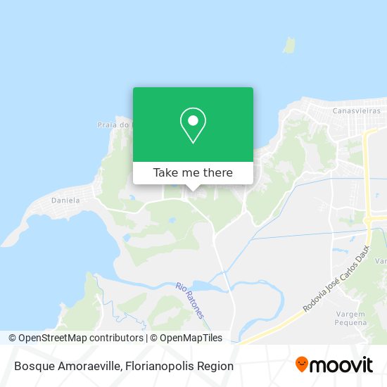 Bosque Amoraeville map