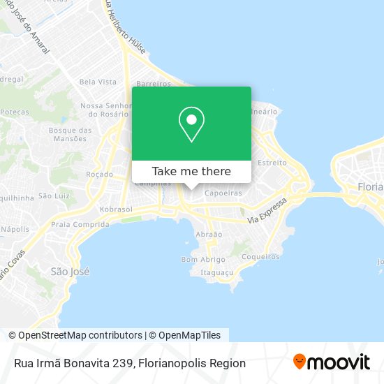 Rua Irmã Bonavita 239 map