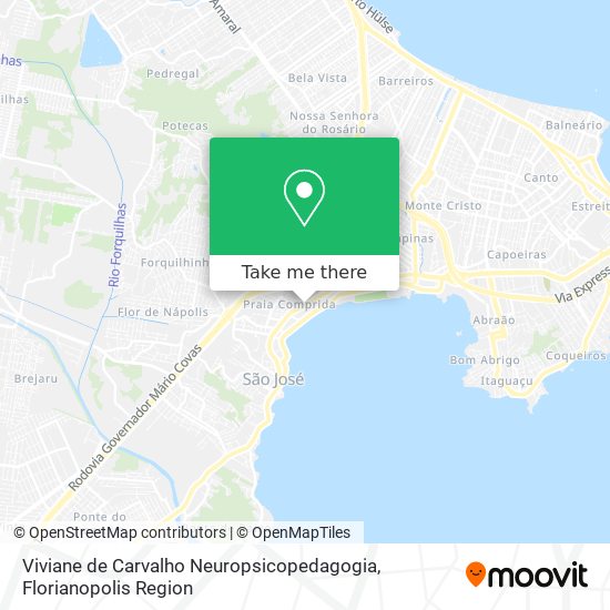 Viviane de Carvalho Neuropsicopedagogia map