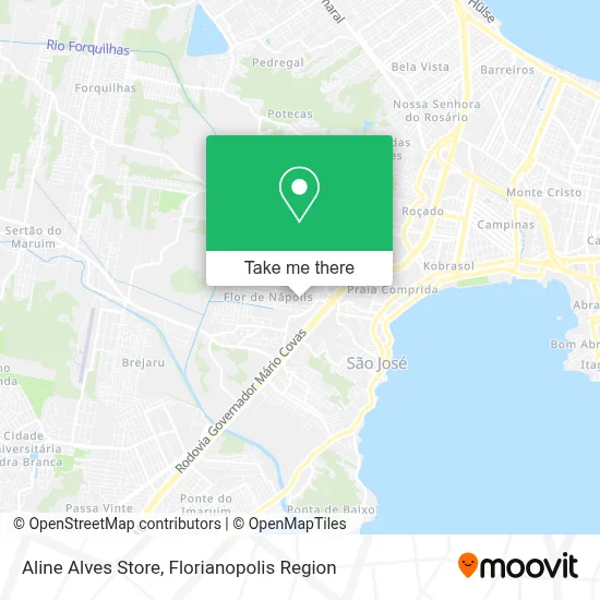 Aline Alves Store map