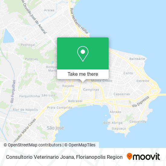 Consultorio Veterinario Joana map