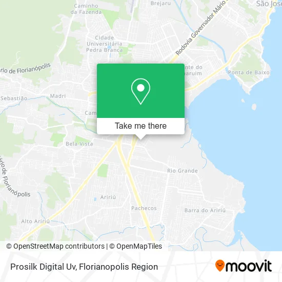 Prosilk Digital Uv map