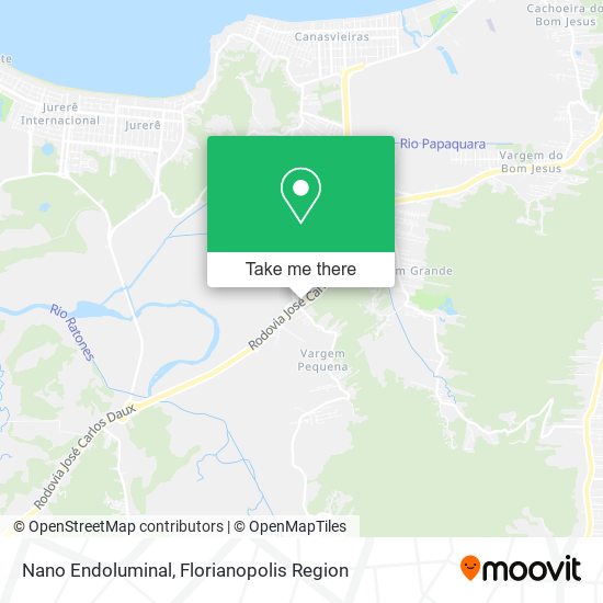 Nano Endoluminal map