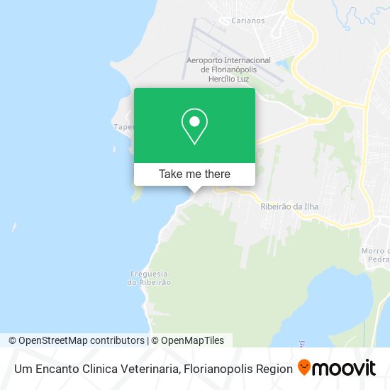 Um Encanto Clinica Veterinaria map