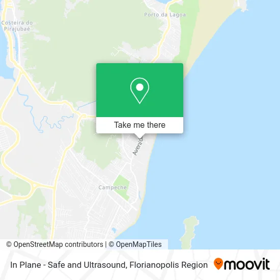 In Plane - Safe and Ultrasound map