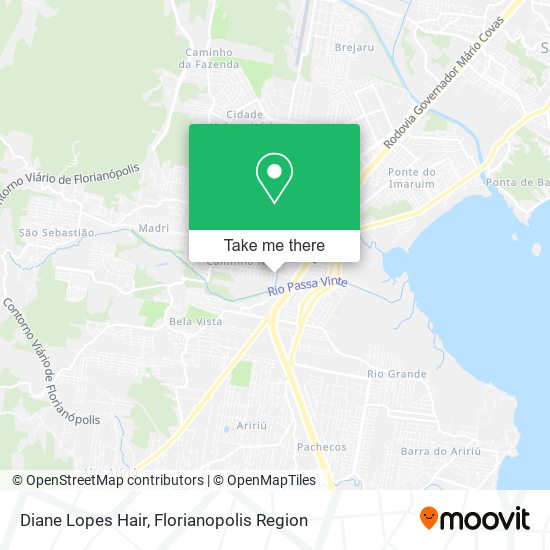Diane Lopes Hair map