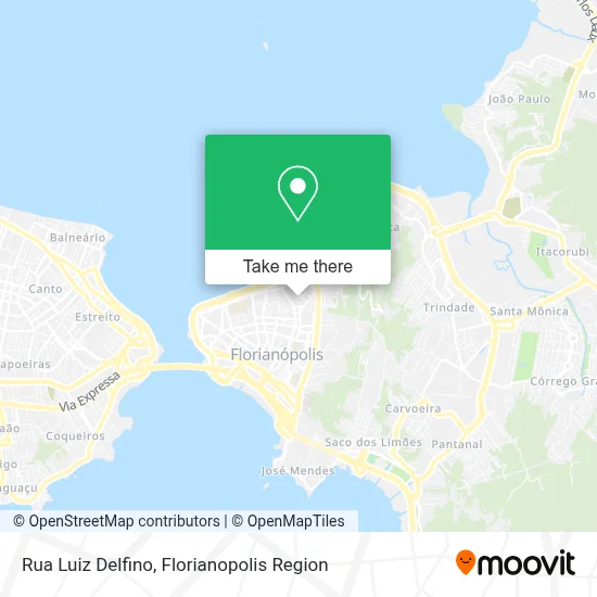 Rua Luiz Delfino map