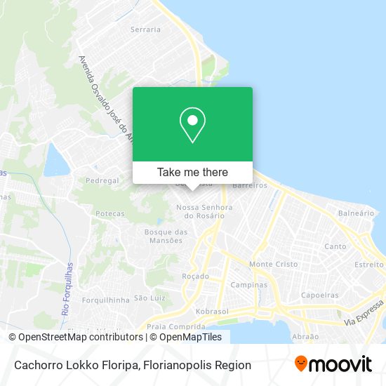 Cachorro Lokko Floripa map