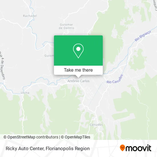 Ricky Auto Center map