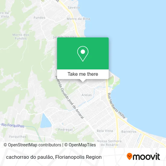 cachorrao do paulão map