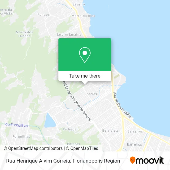 Rua Henrique Alvim Correia map