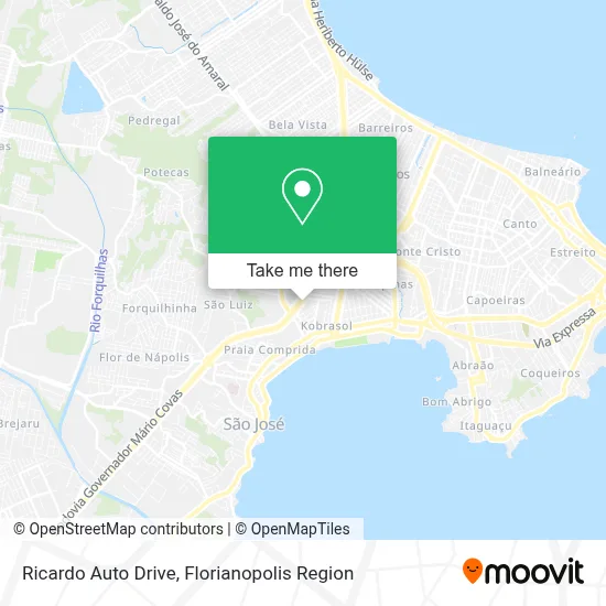 Ricardo Auto Drive map