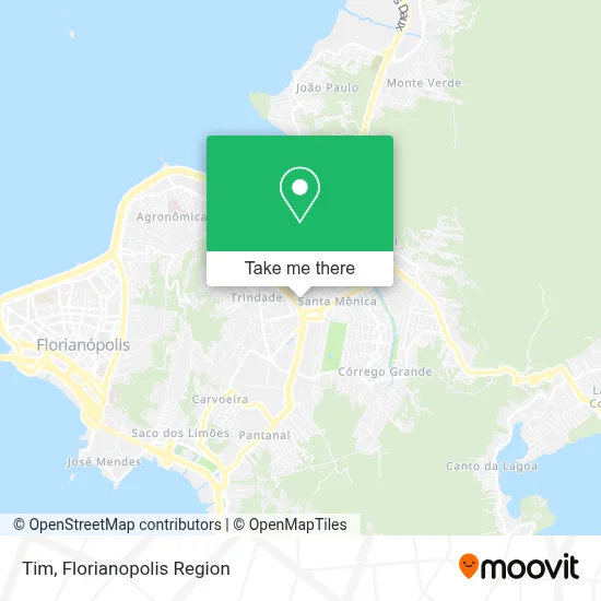 Tim map