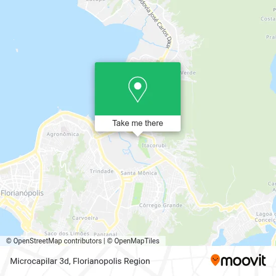 Microcapilar 3d map