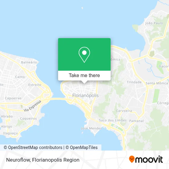 Neuroflow map