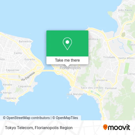 Tokyo Telecom map