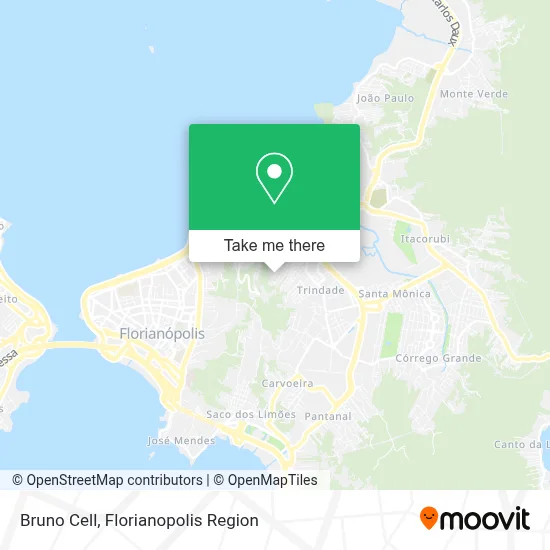 Bruno Cell map