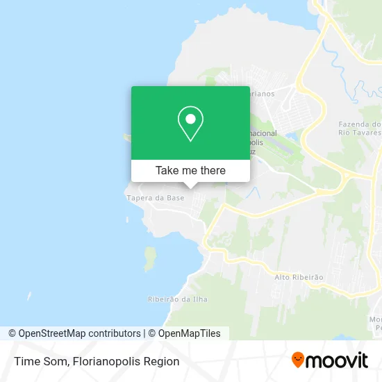 Time Som map