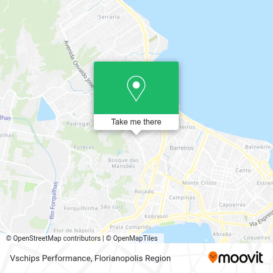 Vschips Performance map