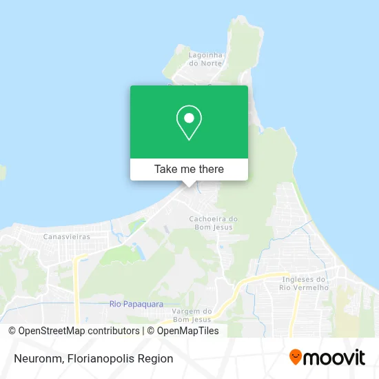 Neuronm map