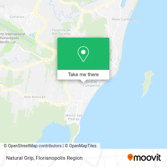 Natural Grip map
