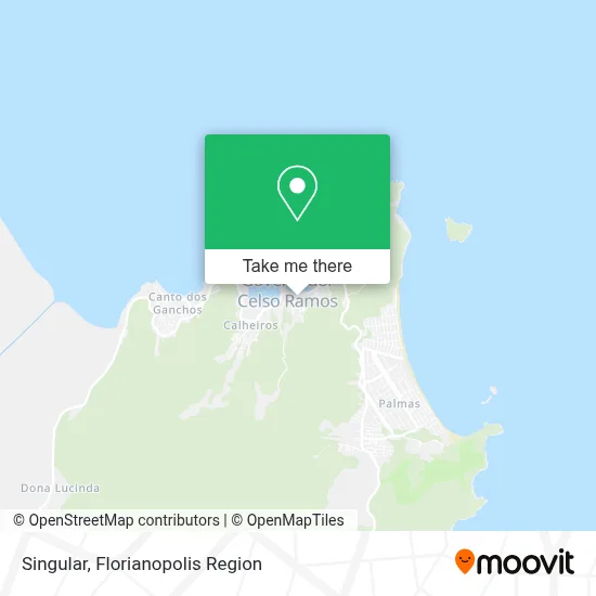 Singular map