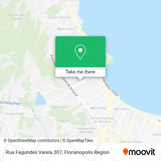 Rua Fagundes Varela 307 map