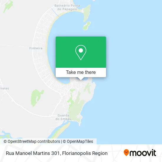 Rua Manoel Martins 301 map