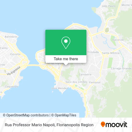 Rua Professor Mario Napoli map