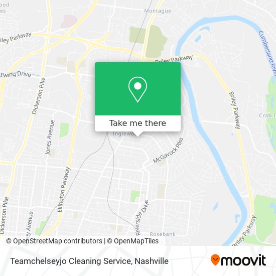 Teamchelseyjo Cleaning Service map