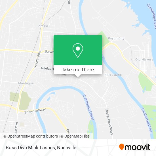 Boss Diva Mink Lashes map