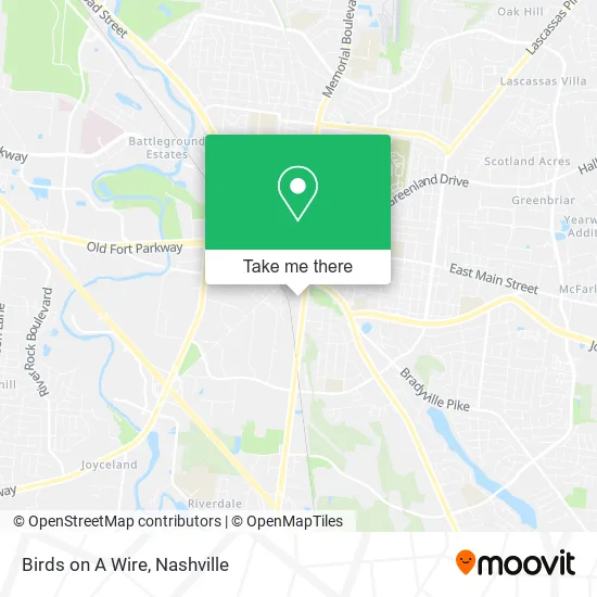 Birds on A Wire map