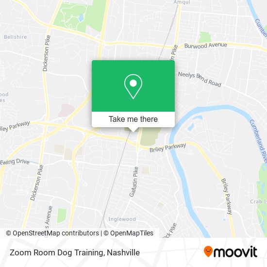 Zoom Room Dog Training map